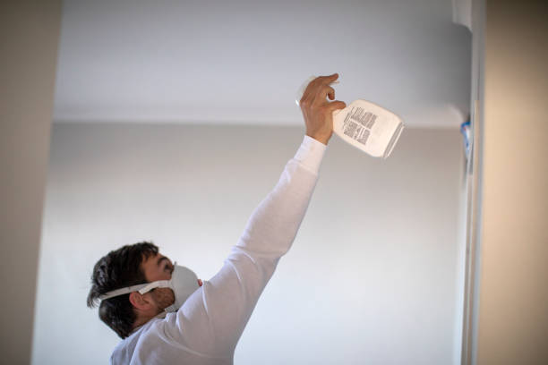 Best Mold Damage Repair  in Marianna, FL