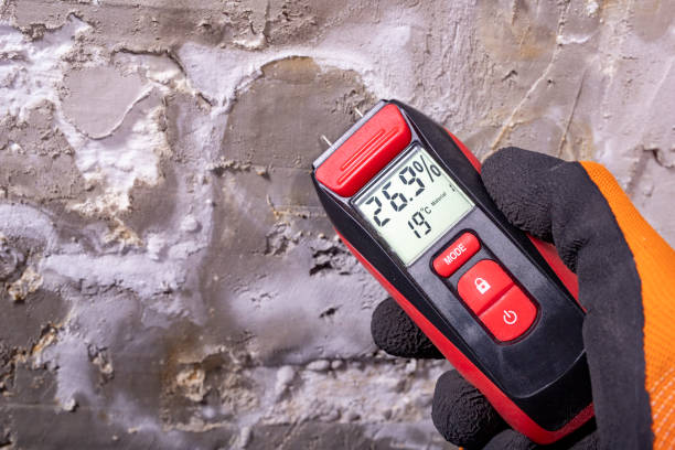 Best Residential Mold Removal  in Marianna, FL