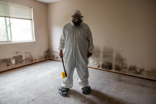 Best Toxic Mold Removal  in Marianna, FL